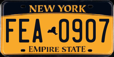 NY license plate FEA0907