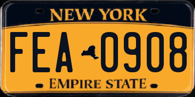 NY license plate FEA0908