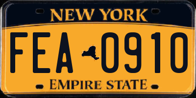 NY license plate FEA0910