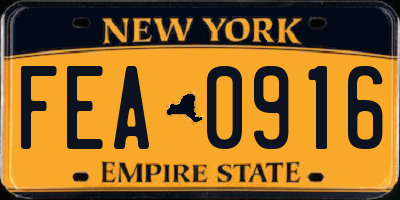 NY license plate FEA0916