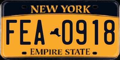 NY license plate FEA0918