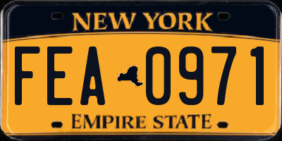 NY license plate FEA0971