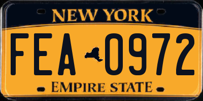 NY license plate FEA0972