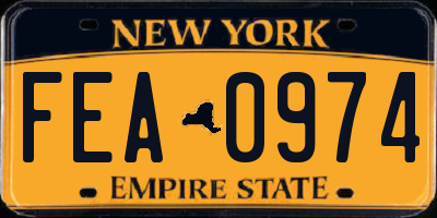 NY license plate FEA0974