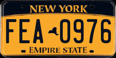 NY license plate FEA0976