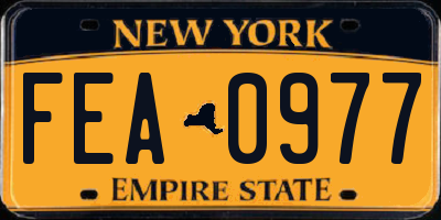 NY license plate FEA0977