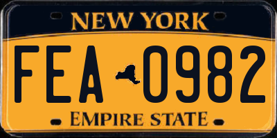 NY license plate FEA0982