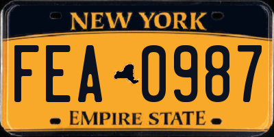 NY license plate FEA0987
