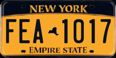 NY license plate FEA1017