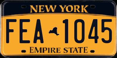 NY license plate FEA1045