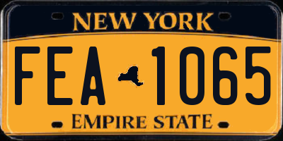 NY license plate FEA1065