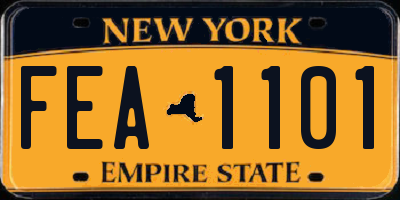 NY license plate FEA1101