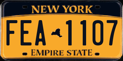 NY license plate FEA1107