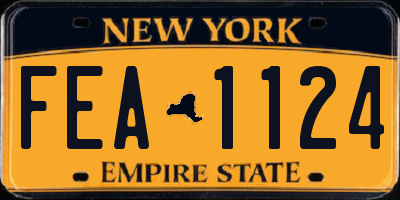 NY license plate FEA1124