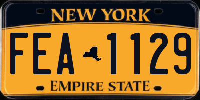 NY license plate FEA1129