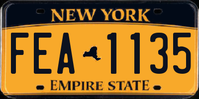 NY license plate FEA1135