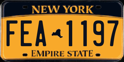 NY license plate FEA1197