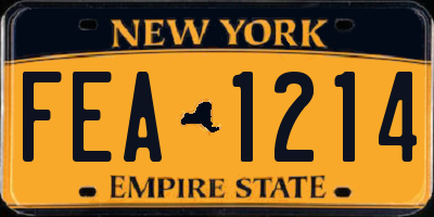 NY license plate FEA1214