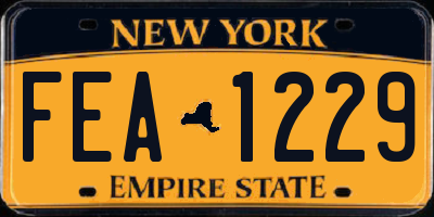 NY license plate FEA1229