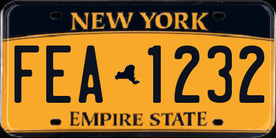 NY license plate FEA1232