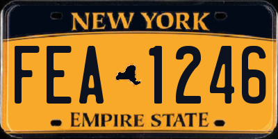 NY license plate FEA1246