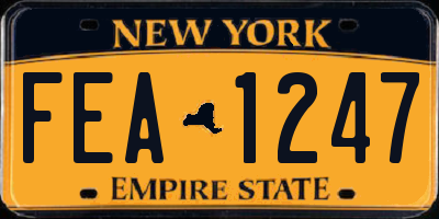 NY license plate FEA1247