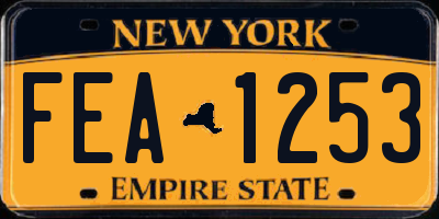 NY license plate FEA1253