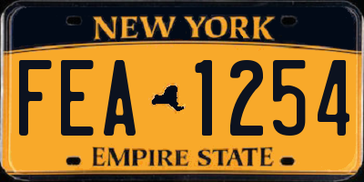 NY license plate FEA1254