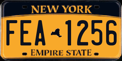 NY license plate FEA1256