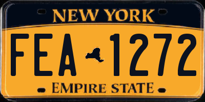 NY license plate FEA1272