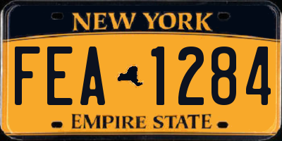 NY license plate FEA1284