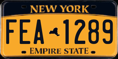 NY license plate FEA1289