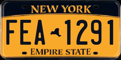 NY license plate FEA1291