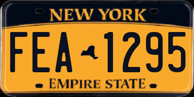 NY license plate FEA1295