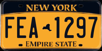 NY license plate FEA1297