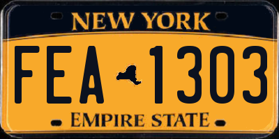NY license plate FEA1303