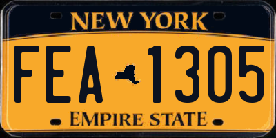 NY license plate FEA1305