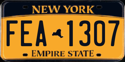 NY license plate FEA1307