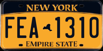 NY license plate FEA1310