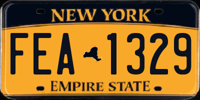 NY license plate FEA1329
