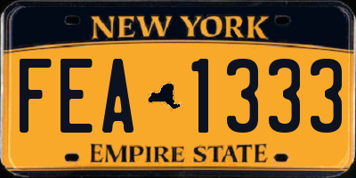 NY license plate FEA1333