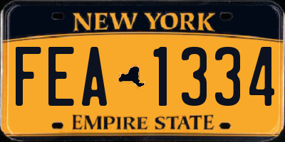 NY license plate FEA1334