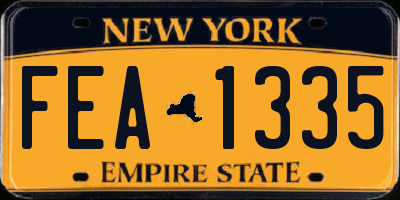 NY license plate FEA1335