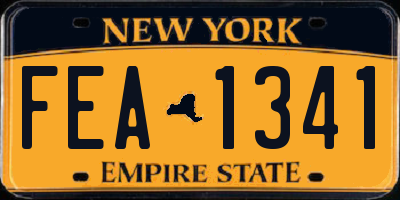 NY license plate FEA1341