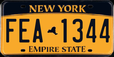 NY license plate FEA1344