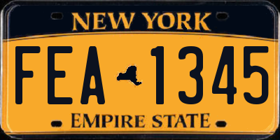 NY license plate FEA1345