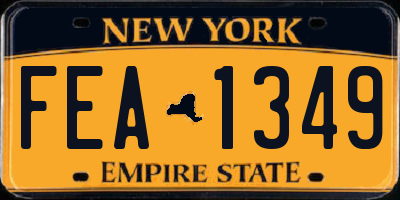 NY license plate FEA1349