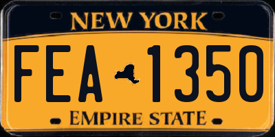 NY license plate FEA1350