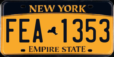 NY license plate FEA1353