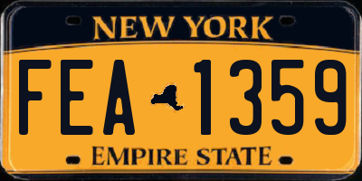 NY license plate FEA1359